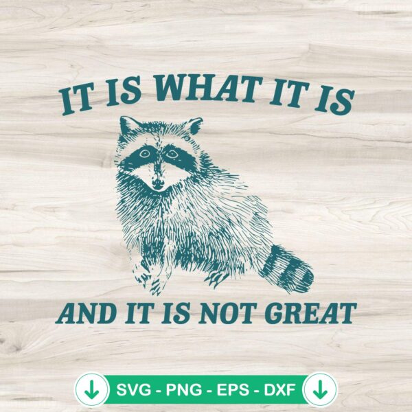 Raccoon Meme It Is What It Is SVG file for cutting machine