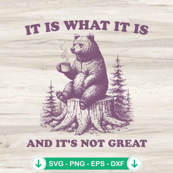 Funny It Is What It Is SVG file for Cricut cutting machine - Bear Meme