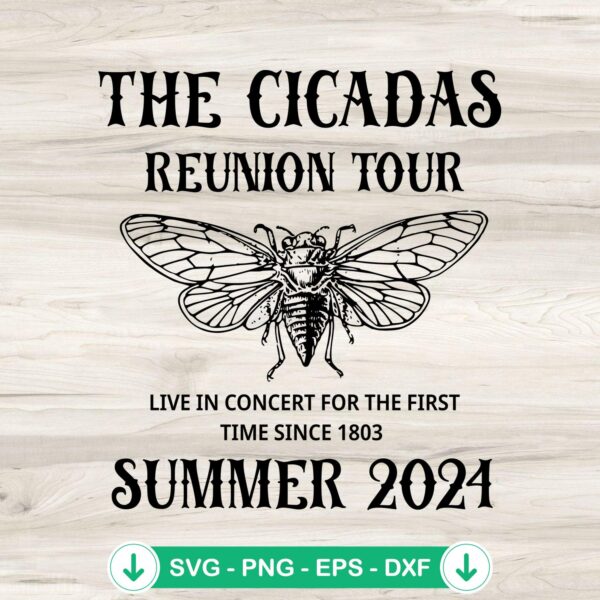 Cicadas Reunion Tour Summer 2024 SVG file for Cricut
