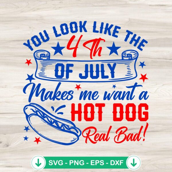 Funny You Look Like The 4th Of July SVG file for cutting machines