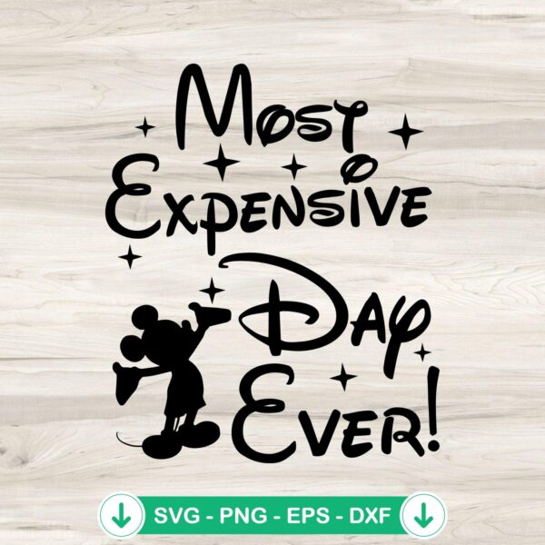 Disney Most Expensive Day Ever SVG file for Cricut cutting machine