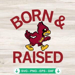 Cyclones Born And Raised SVG file for Cricut cutting machine
