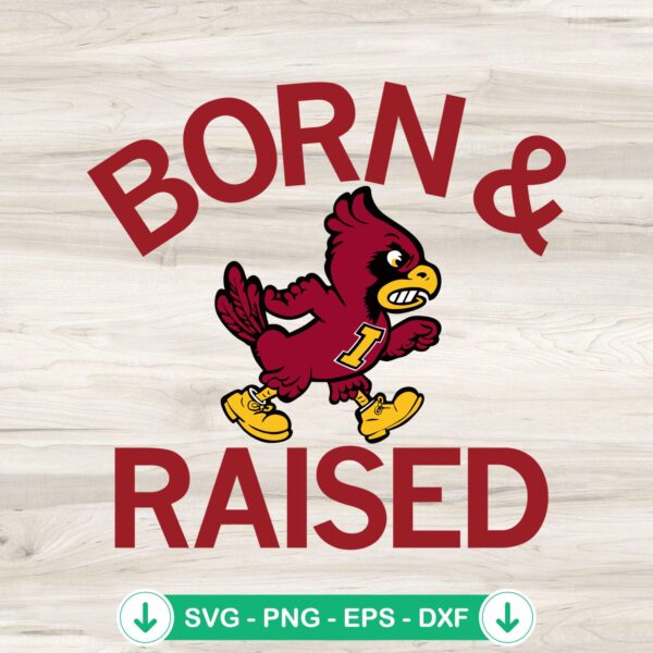 Cyclones Born And Raised SVG file for Cricut cutting machine