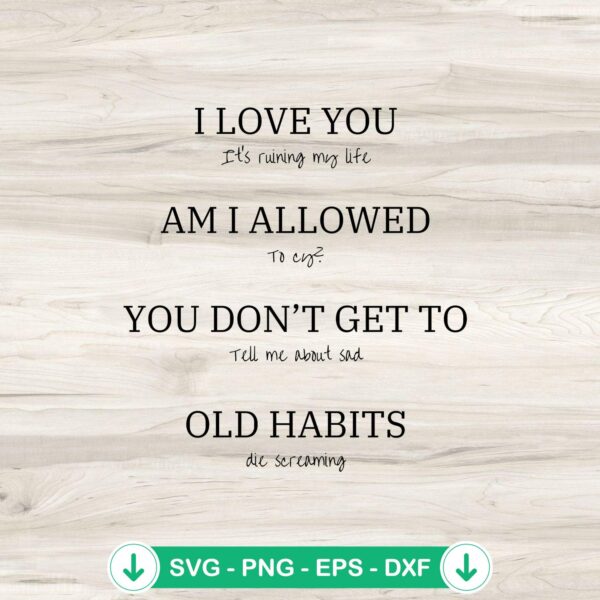 I Love You It's Ruining My Life SVG file for Cricut cutting machine