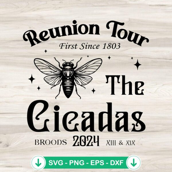 Cicadas Reunion Tour SVG file for Cricut cutting machine