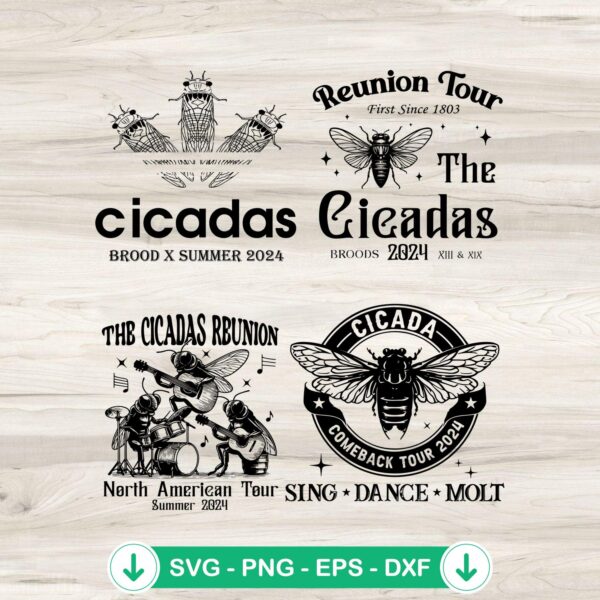 Cicadas Reunion Tour 2024 SVG file for cricut cutting machine