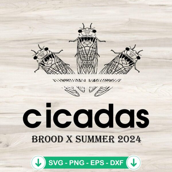 Cicadas Brood X Summer 2024 SVG file for cutting machines