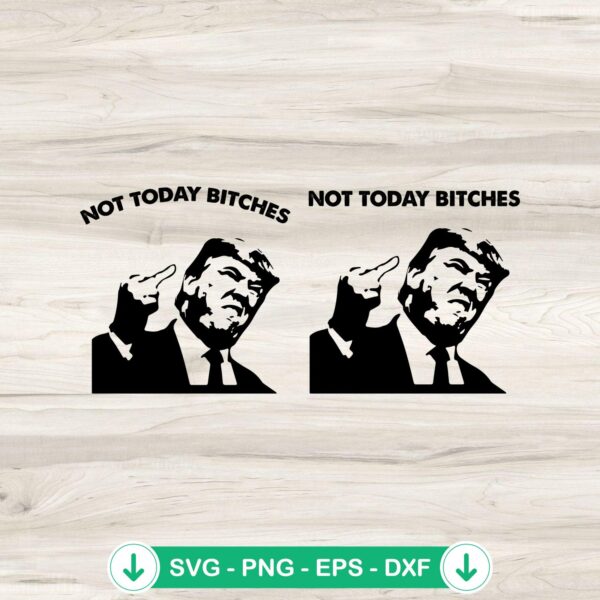Not Today Bitches Trump 2024 SVG file for Cricut.