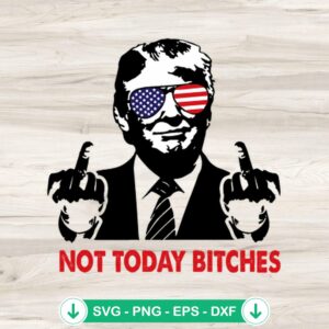 Not Today Bitches Trump SVG file for cricut svg cutting