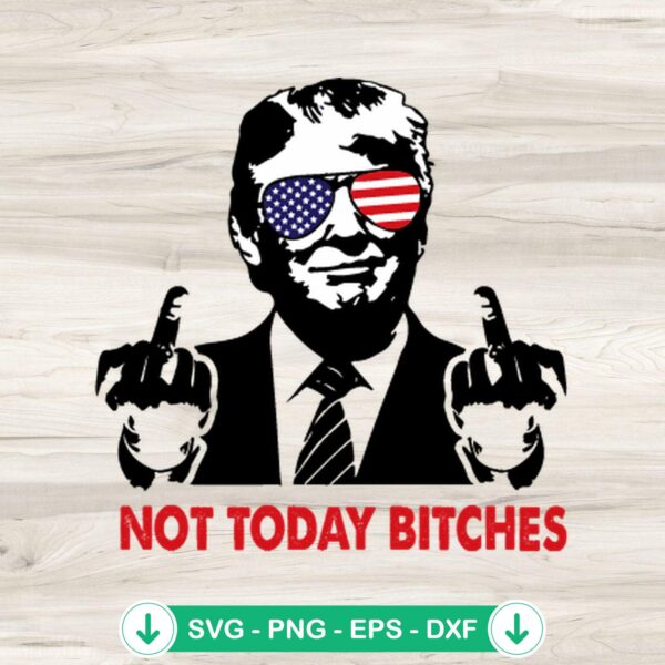 Not Today Bitches Trump SVG file for cricut svg cutting